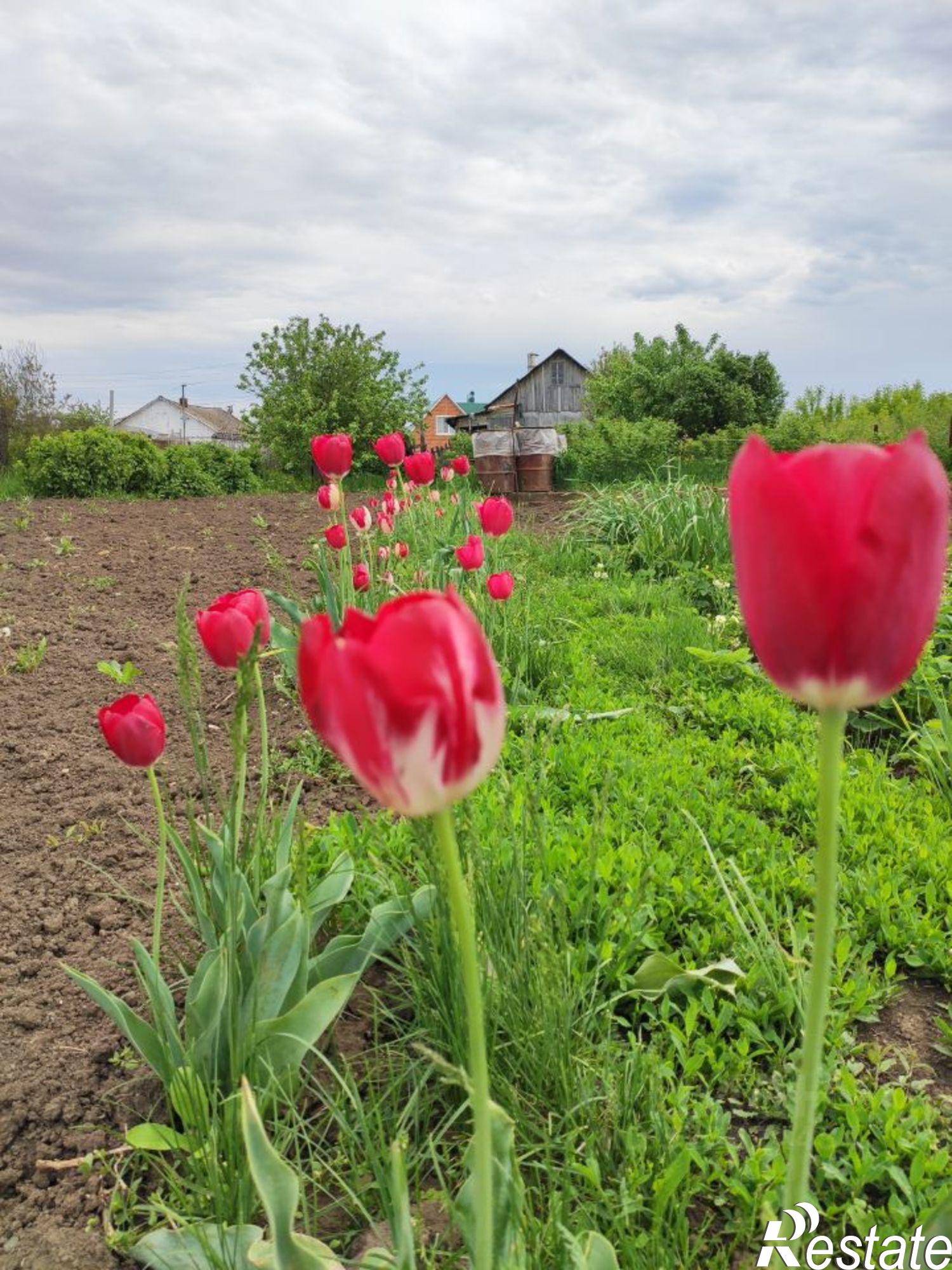 Купить дачу, дом, коттедж за 3 400 000 рублей на улица Сергея Лазо, 26