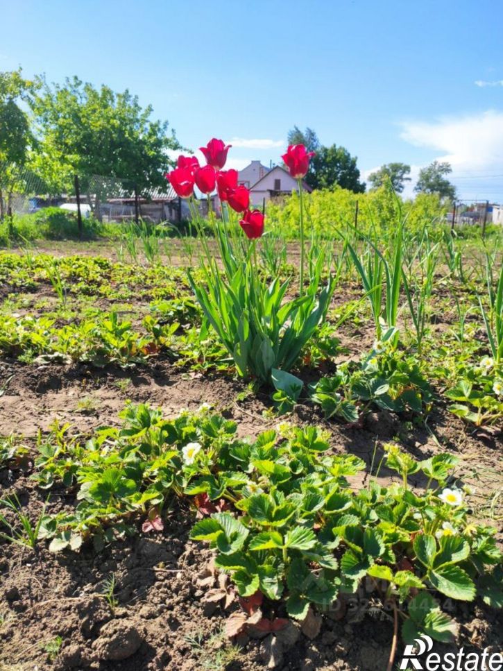 Коттедж/дом улица Сергея Лазо, 26,  д. 26