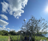 коттедж 20 кв м 