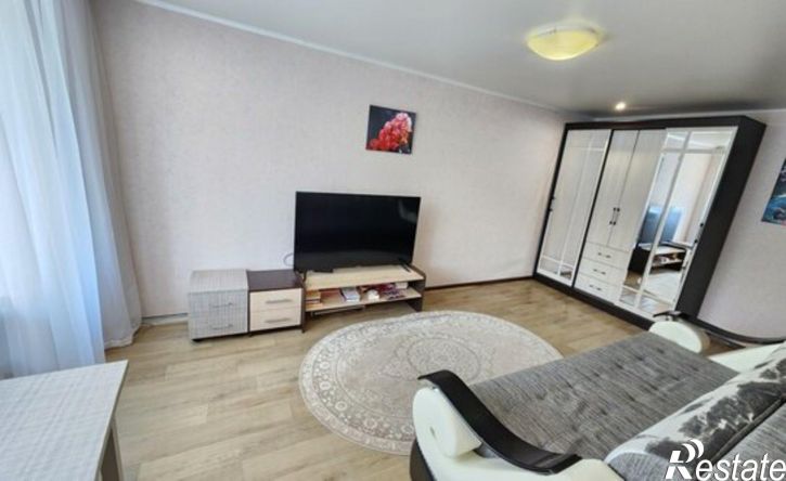 1-комн квартира пр-кт Ленина, 24а,  д. 24а